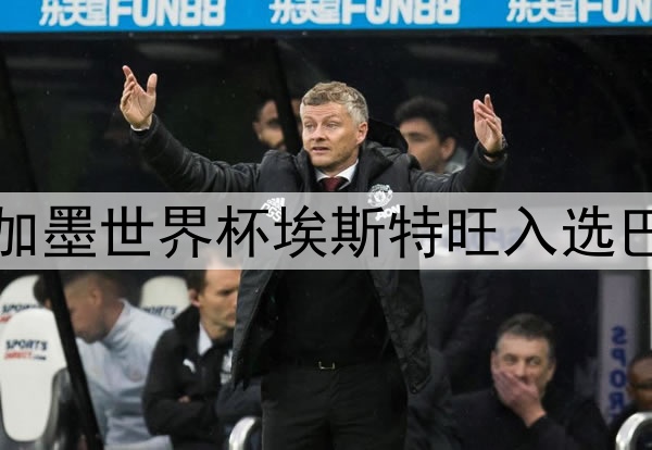 2026美加墨世界杯埃斯特旺入选巴西名单